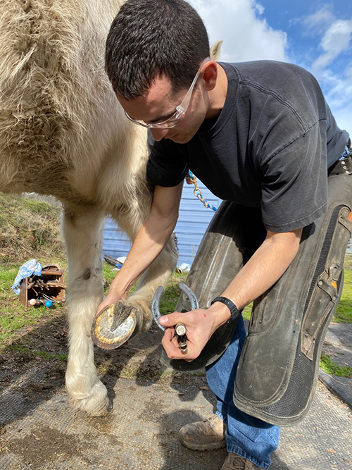 Careerr Success as a Farrier