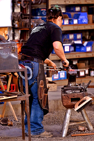 Working as a Professional Horse Shoer / Farrier