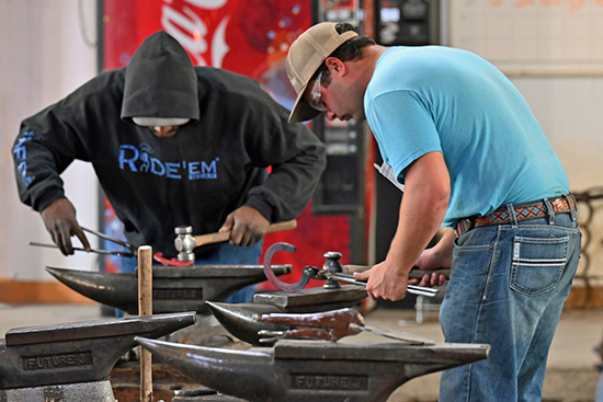 Working Conditions of Farriers