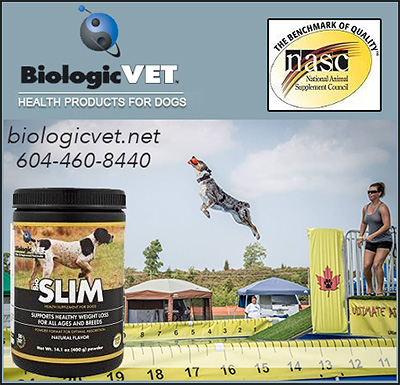 BiologicVet Health Products for Dogs