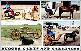 Horse Carts