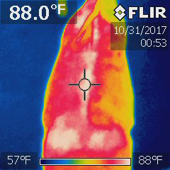 thermal-poor-saddle-fit