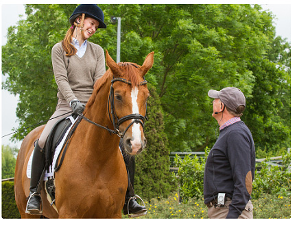 Building a relationship with your horse through Horse Trainer Lessons