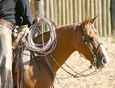 Riding the horse