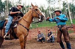 Learning Horsemanship