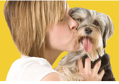 Healthy Pet Food and Dog Treats