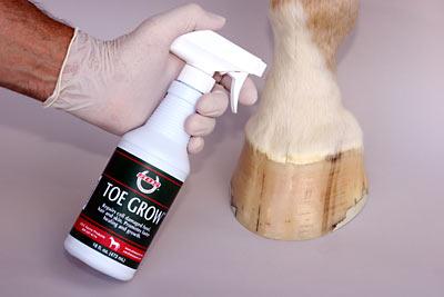 Toe Grow, hoof repair product.