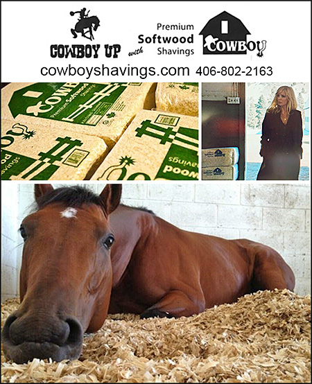 Cowboy Horse Stall Bedding