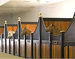 Horse Stall Design