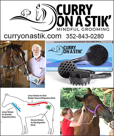 Curry On A Stik Horse Curry Comb