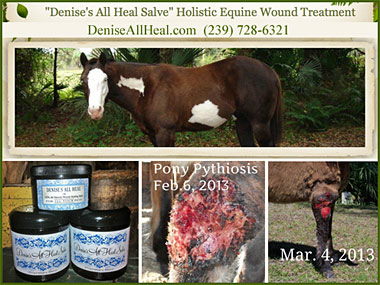 Denise's All Heal Salve