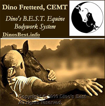 Dino's Best Equine Bodywork System
