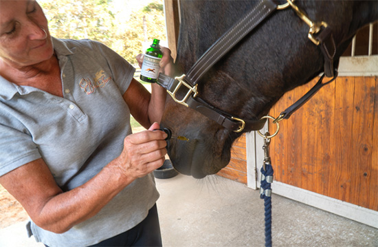 CBD Horse Health Product