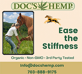 Hemp Health Supplement for Horses