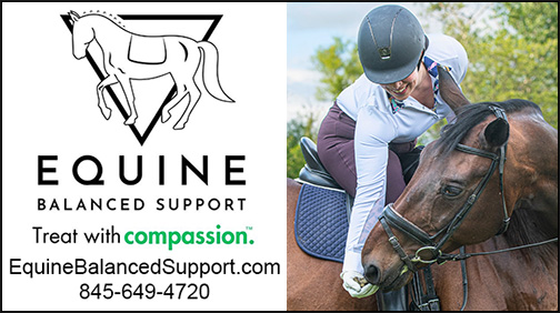 Healthy Horse Treats from Equine Balanced Support