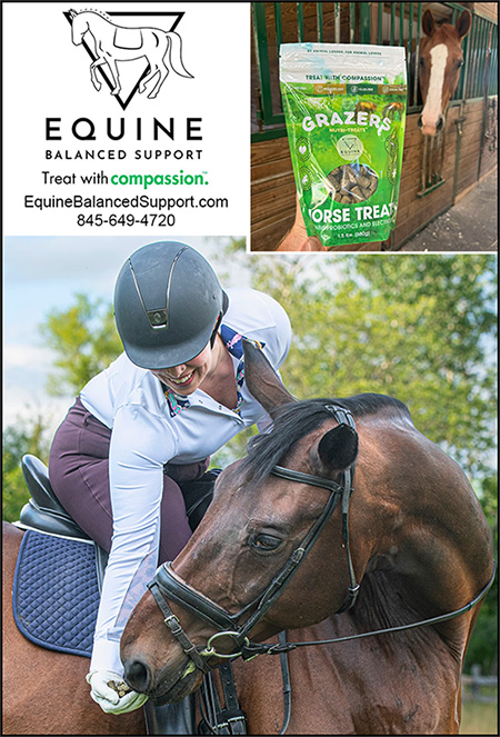 Equine Balanced Support Grazers Healthy Horse Treats