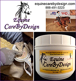Hoof Clay with CBD by Equine Care By Design 