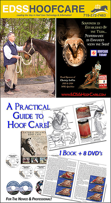 EDSS Horse Hoof Care