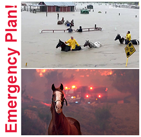 Emergency Plan for Horse Owners