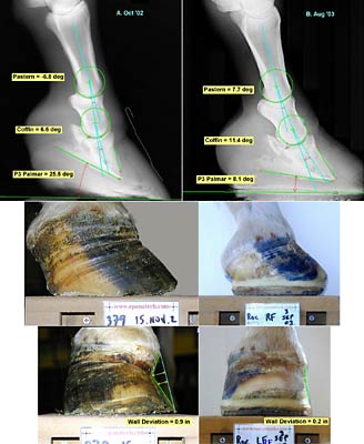 Comparison photo