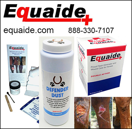 equaide First Aid Treatment for Horses