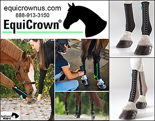 Horse Leg Compression Bandages and Leg Wraps
