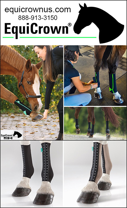 EquiCrown Horse Compression Bandages and Leg Wraps