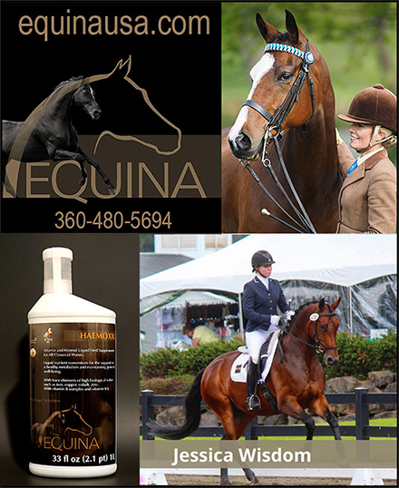 Equine Horse Health Supplements by Equina