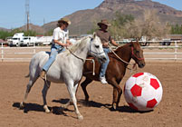 Horse Toys for a healthy Environment