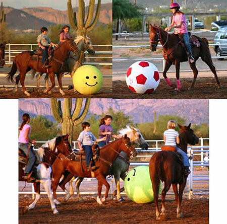 Horse Soccer