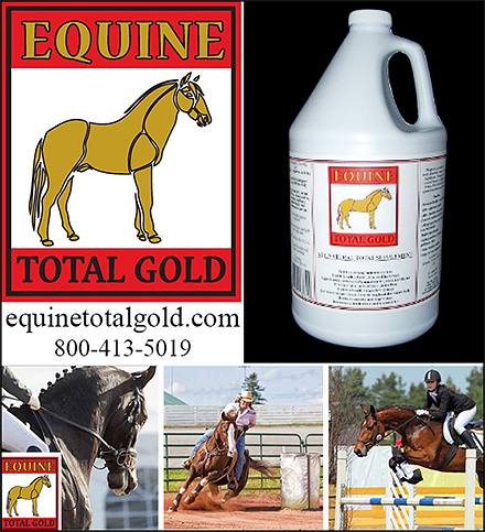 Equine Total Gold COPD Horse Supplement