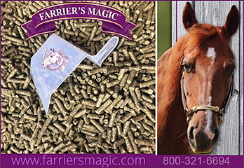 Farrier's Magic Horse Hoof Supplement