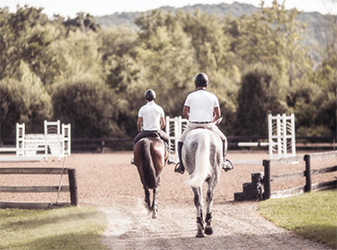 How to Build Your Horse Arena