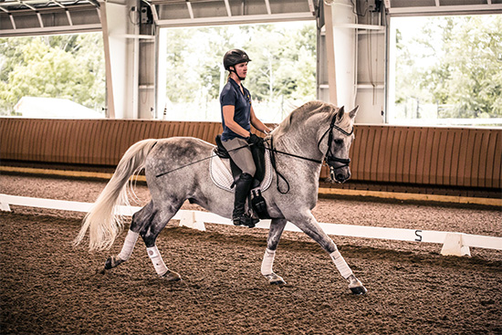 Equestrian Riding Arena