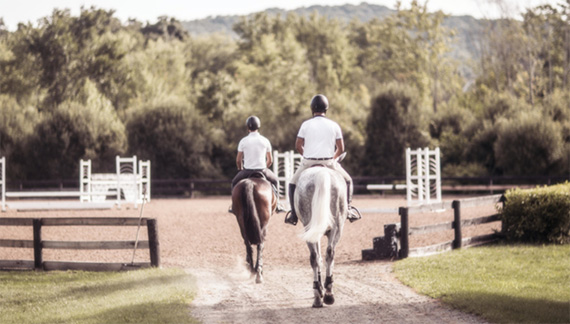 Horse Arena Riders