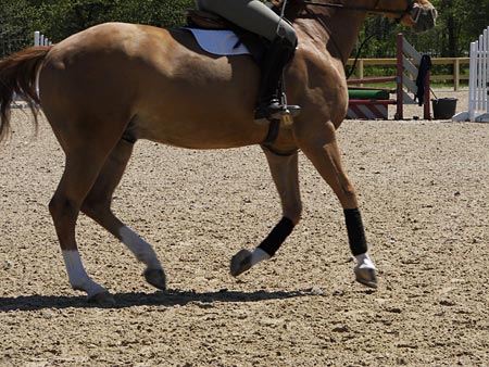 Correct sand for horse footing