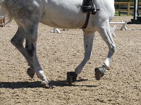 horse footing should not be too deep