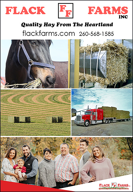 Hay Suppliers for Horses