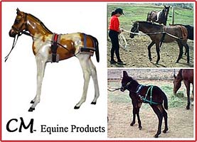 CM Equine Products Foal Training Product