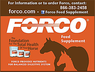 FORCO Horse Digestive Health Supplement