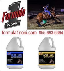 Formula 1 Noni is a Superfood for Horses!