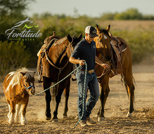 Caring for our horses.