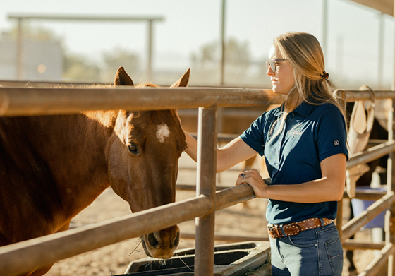 Helping Our Horses with Natural Feeds and Products