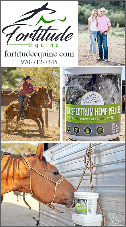 Hemp Supplements for Horses
