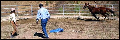 Charles Wilhelm teaches in the round pen.