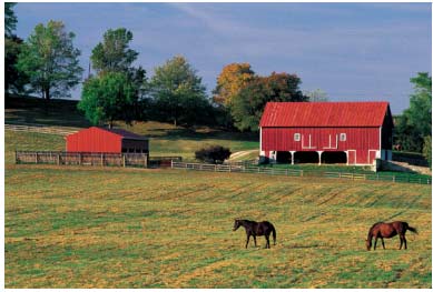 Preventing Barn Fires