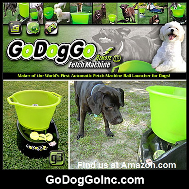 GoDogGo Fetch Machine