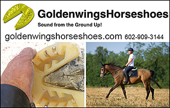Goldenwings Horseshoes