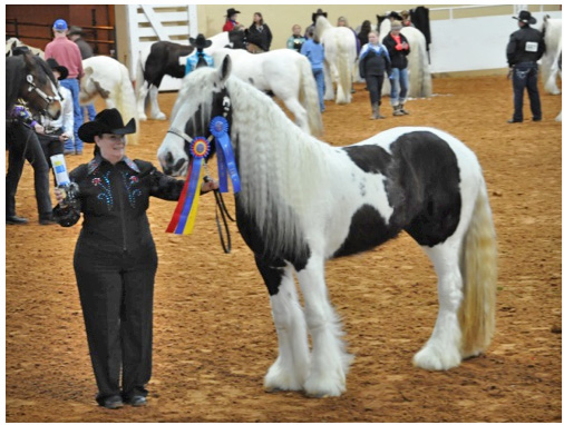  Pictures of Patty with Jessamy and Worthington (Sire of Jessamy)