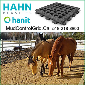 Mud Control System for Horse Owners by Hahn Plastics